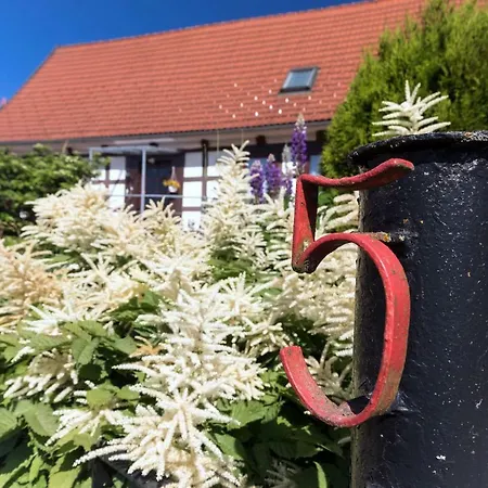 Harzurlaub Heyder Apartman