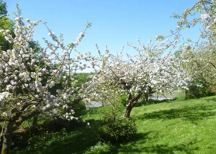 Harzurlaub Heyder Elbingerode